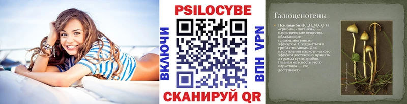 Псилоцибиновые грибы Magic Shrooms  omg зеркало  Райчихинск 